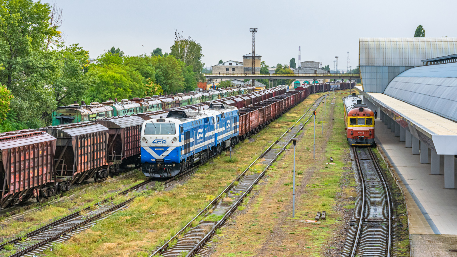 Mołdawska towarówka