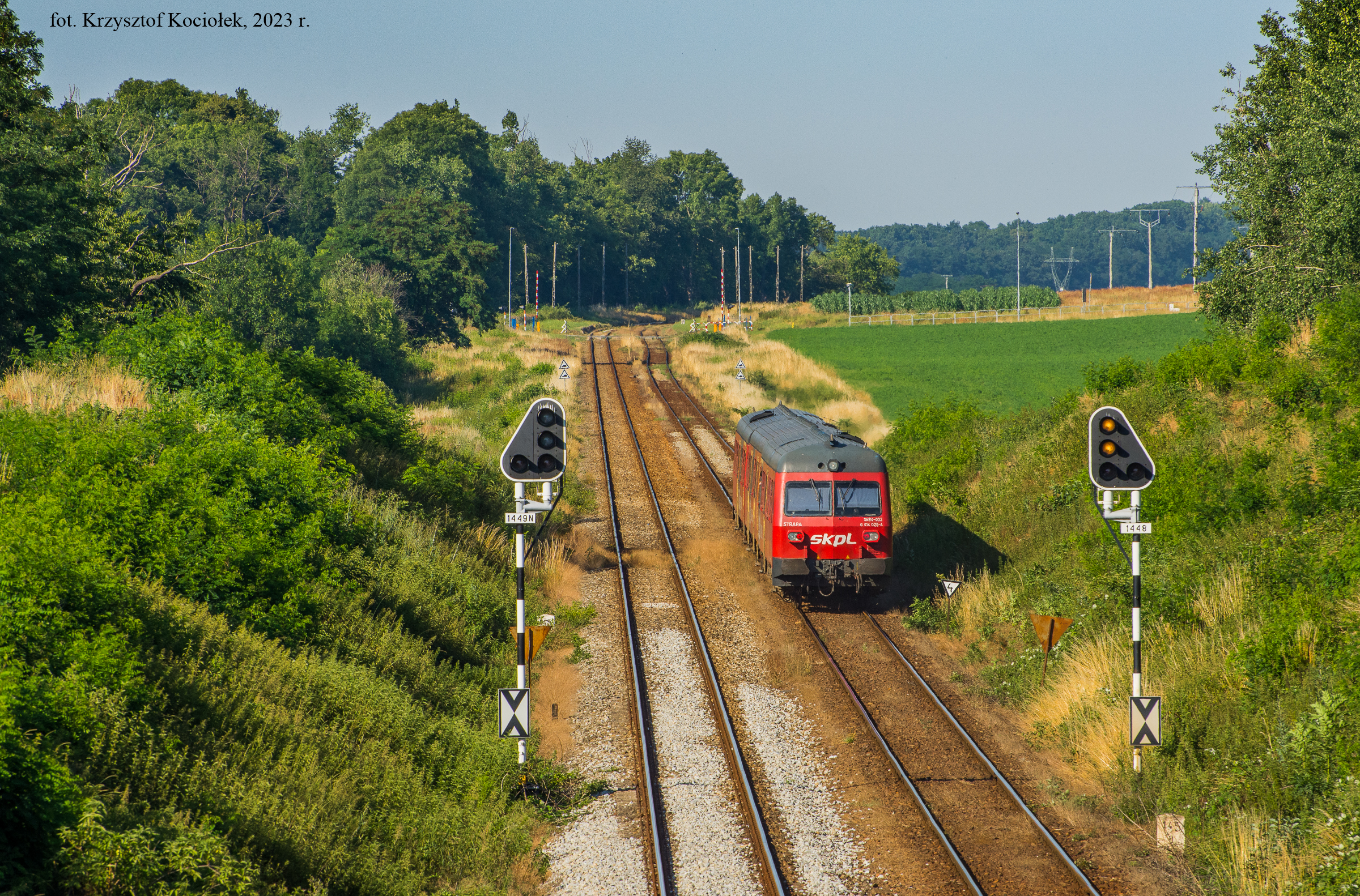 TLK "Sudety" przed Nysą