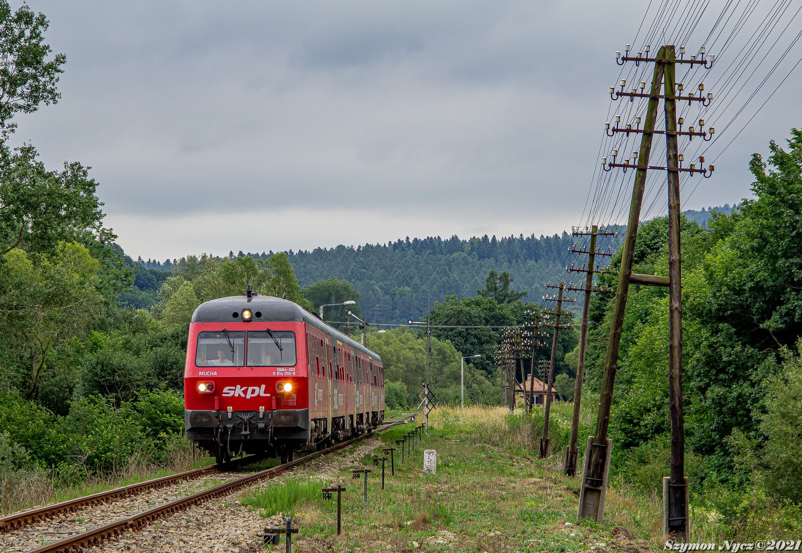 Mucha w Bieszczadach