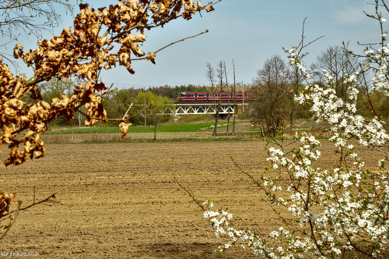 Wiosna podczas jesieni?