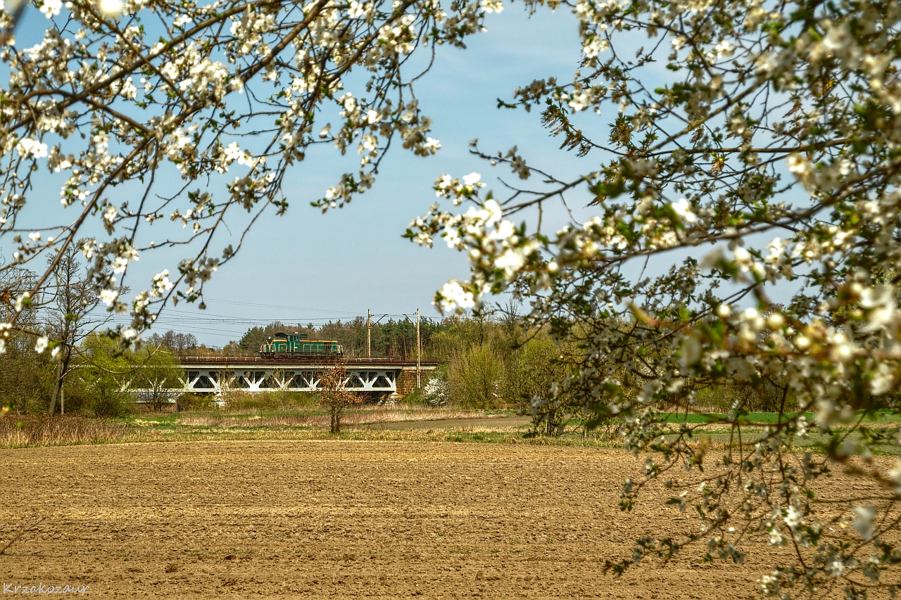 Wiosną łatwo dojrzeć klasyka