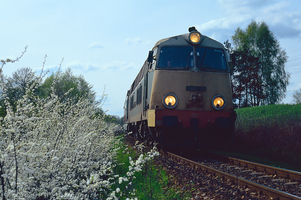 SU45-156 i białe kwiatki