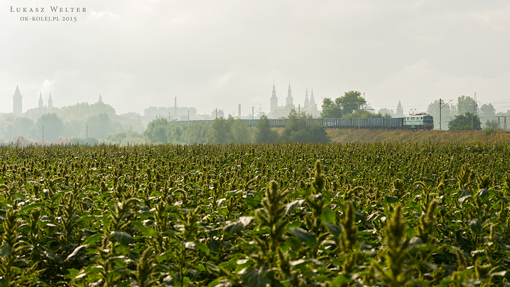 Na pierwszą Ligę !
