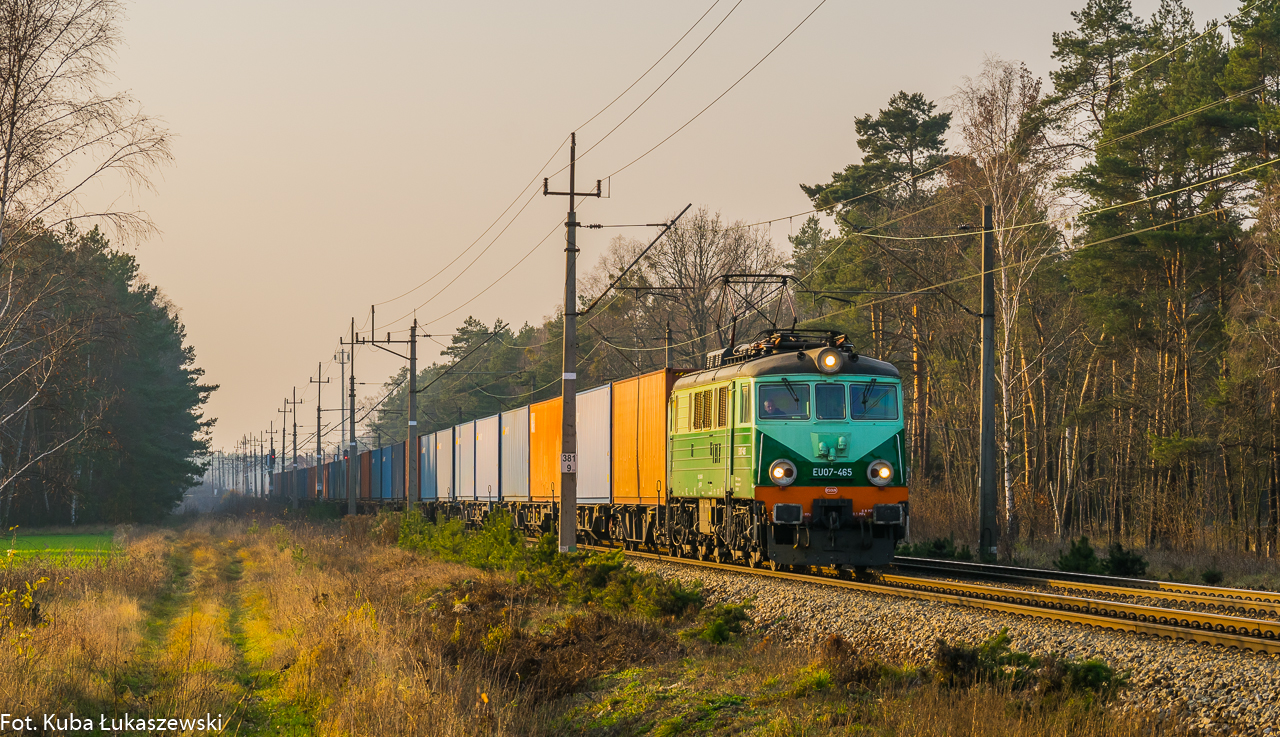 Rodzynek w jesienne popołudnie