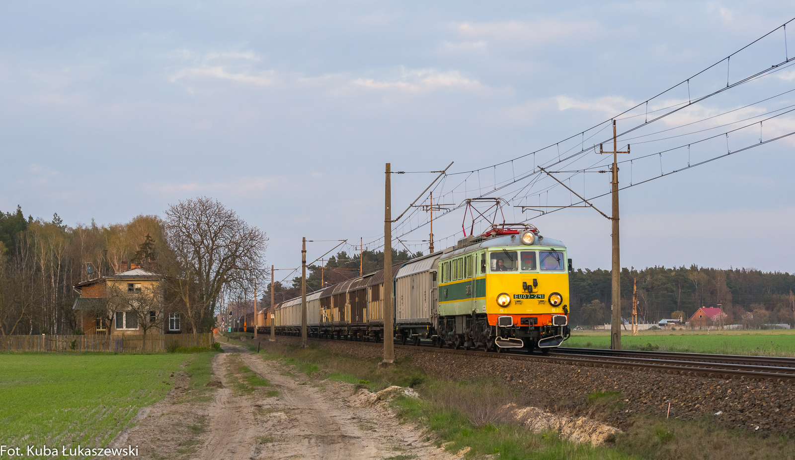 Żółte czoło na zachód