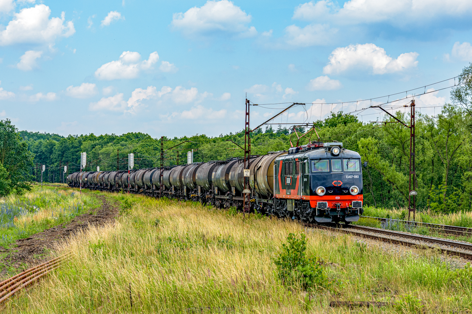 Czarny Zbój do Gdańska