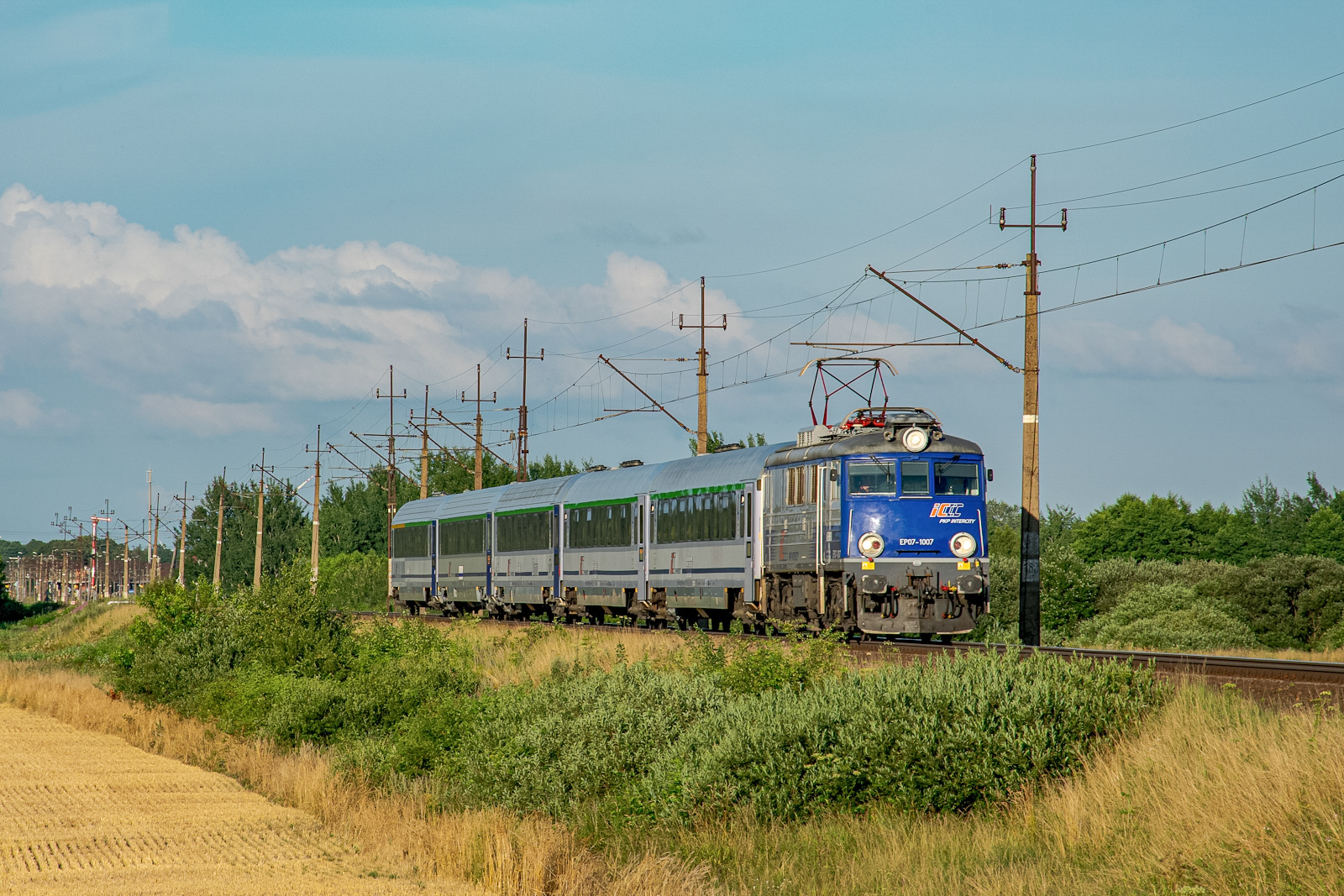 Gryf ze kształtem w tle