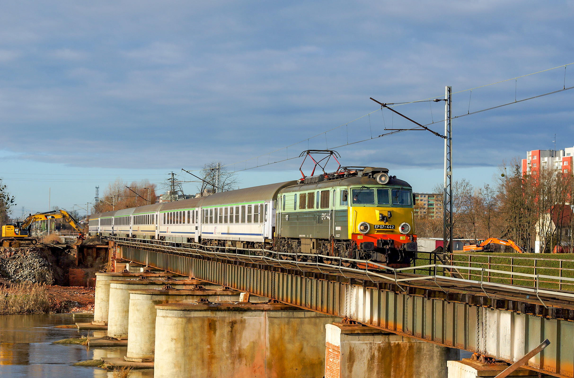 Żółte czoło nad Kanałem Ulgi