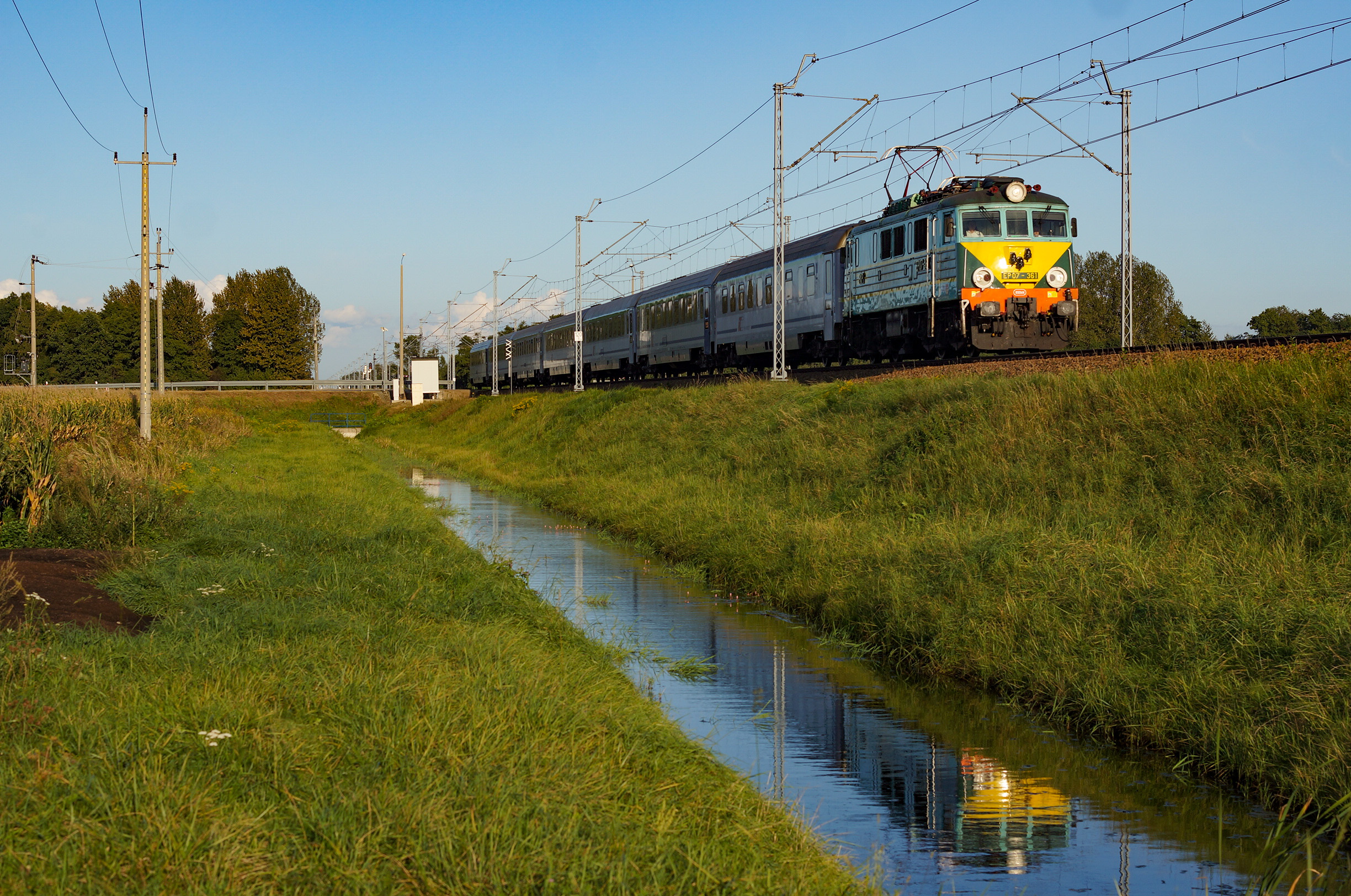 (trochę) Podwójne Żółte Czoło