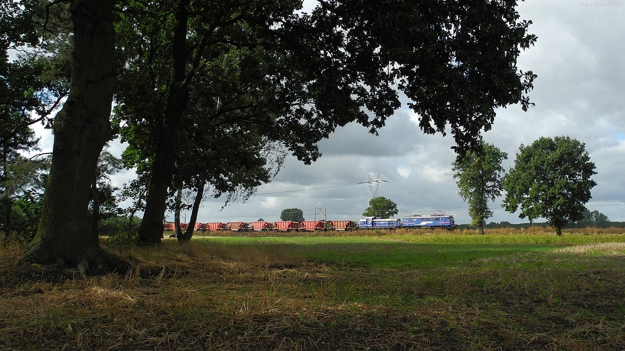 Węglówkowy zawrót głowy