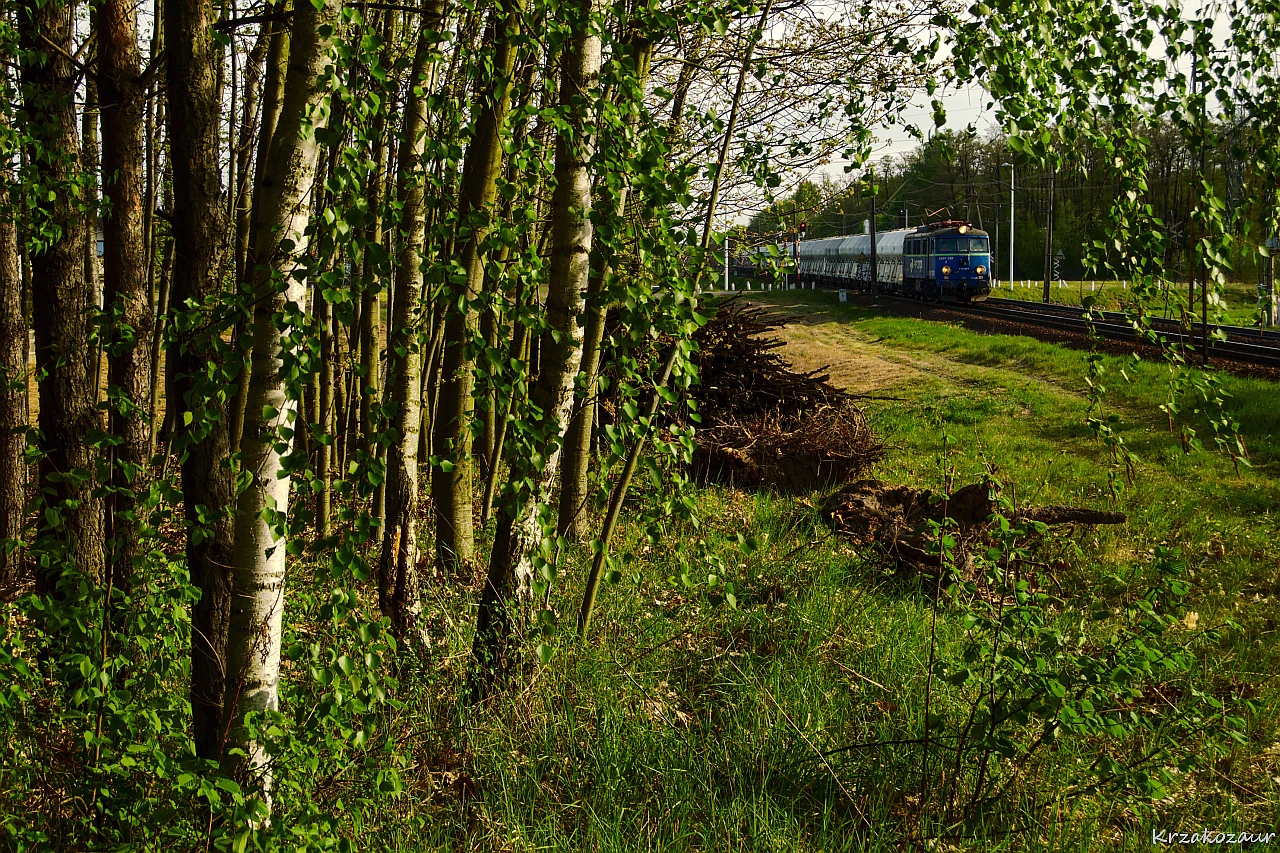 Radosny powiew wiosny