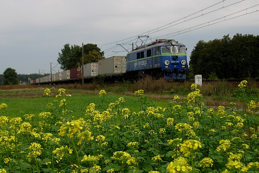 Siódemki opanowały węglówkę:)