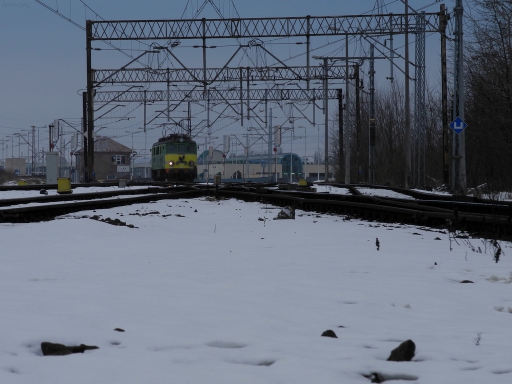 Kormoran stoi na stacji...