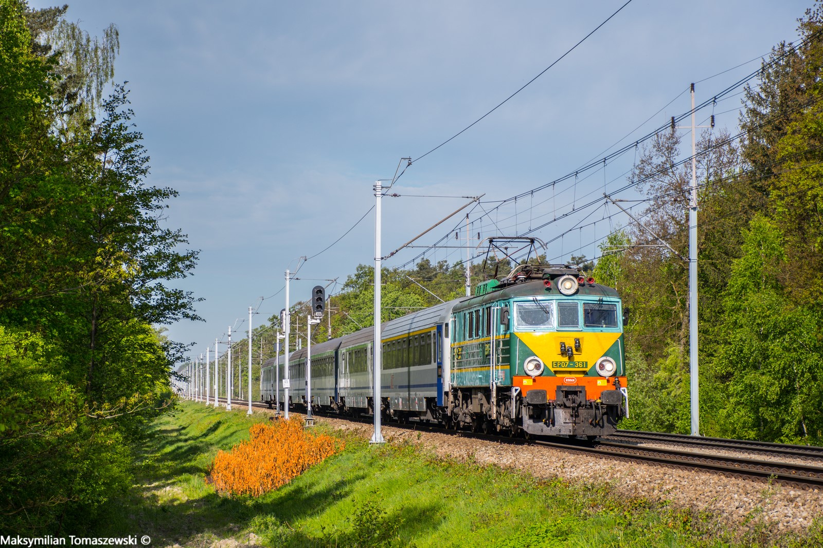 Żółty trapez w blasku poranka