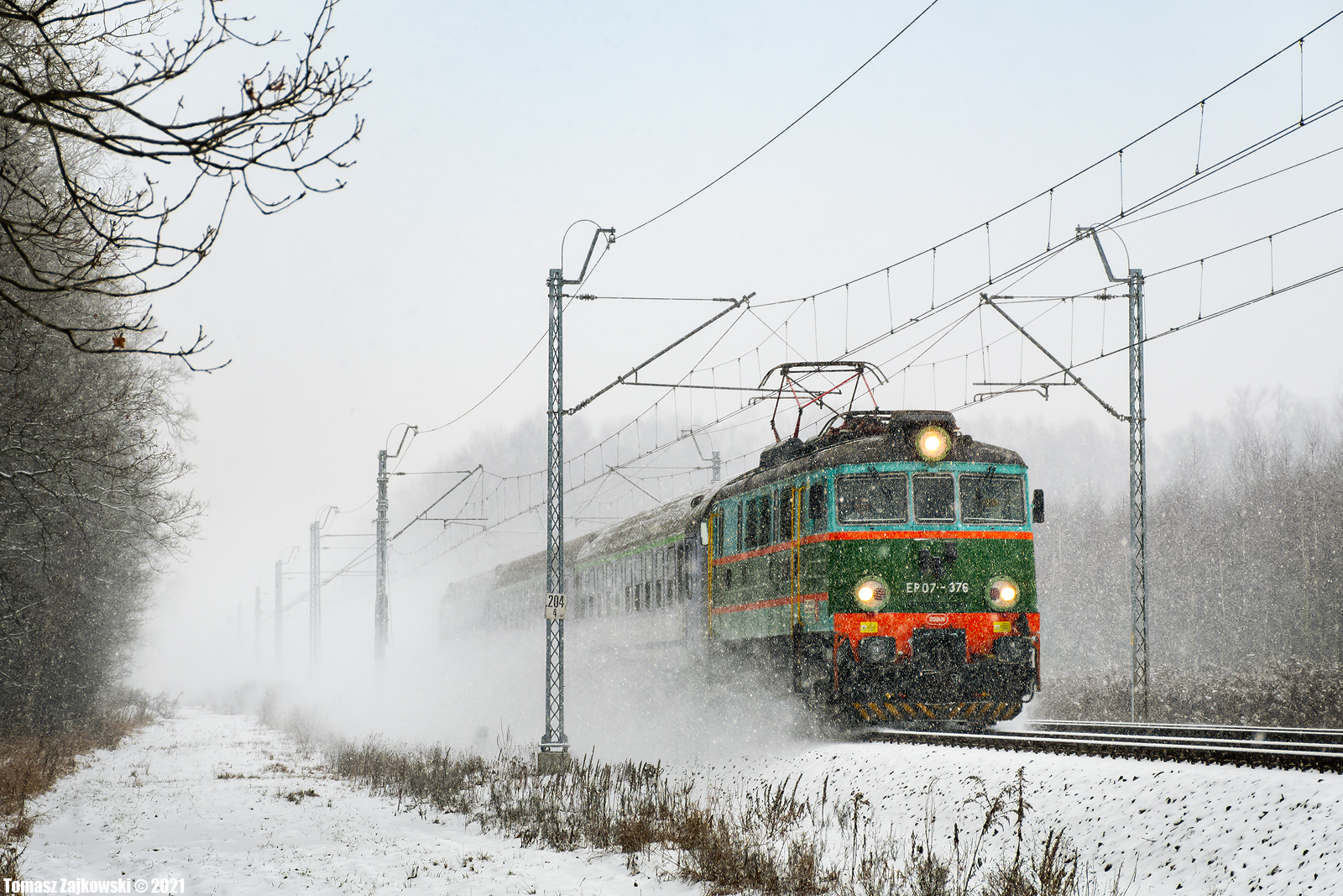 Zielenina w śnieżycy