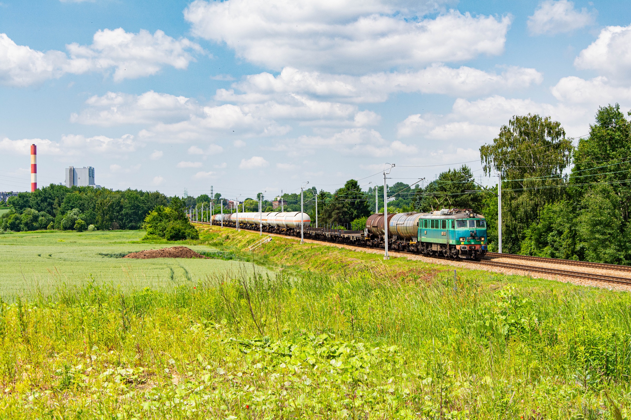Zielenina z mieszanym