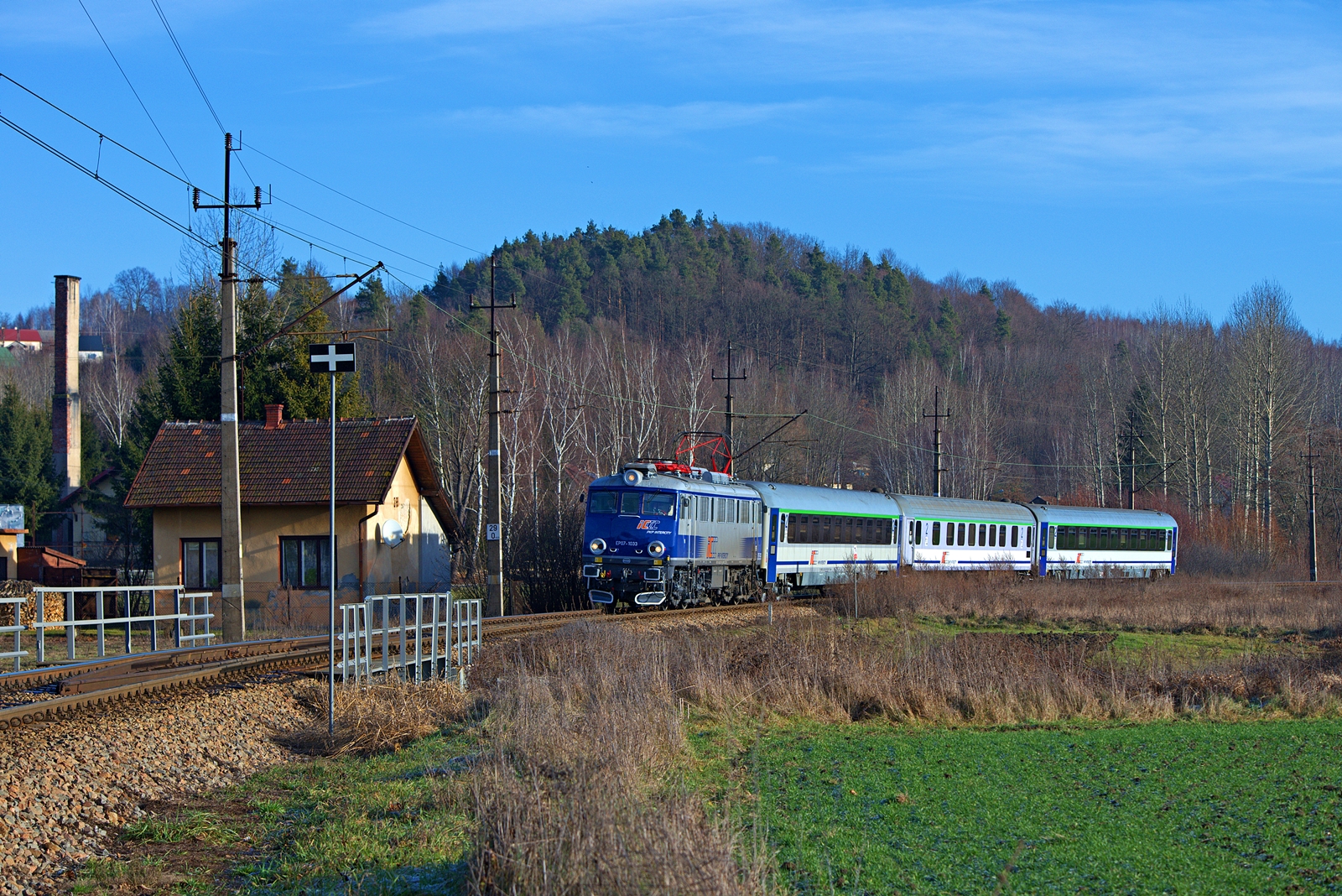 Maliniak w Chojniku.