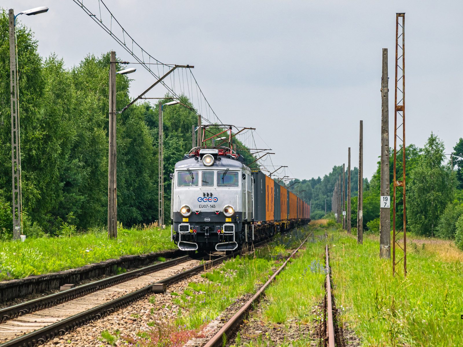 Biała dama ECCO Rail