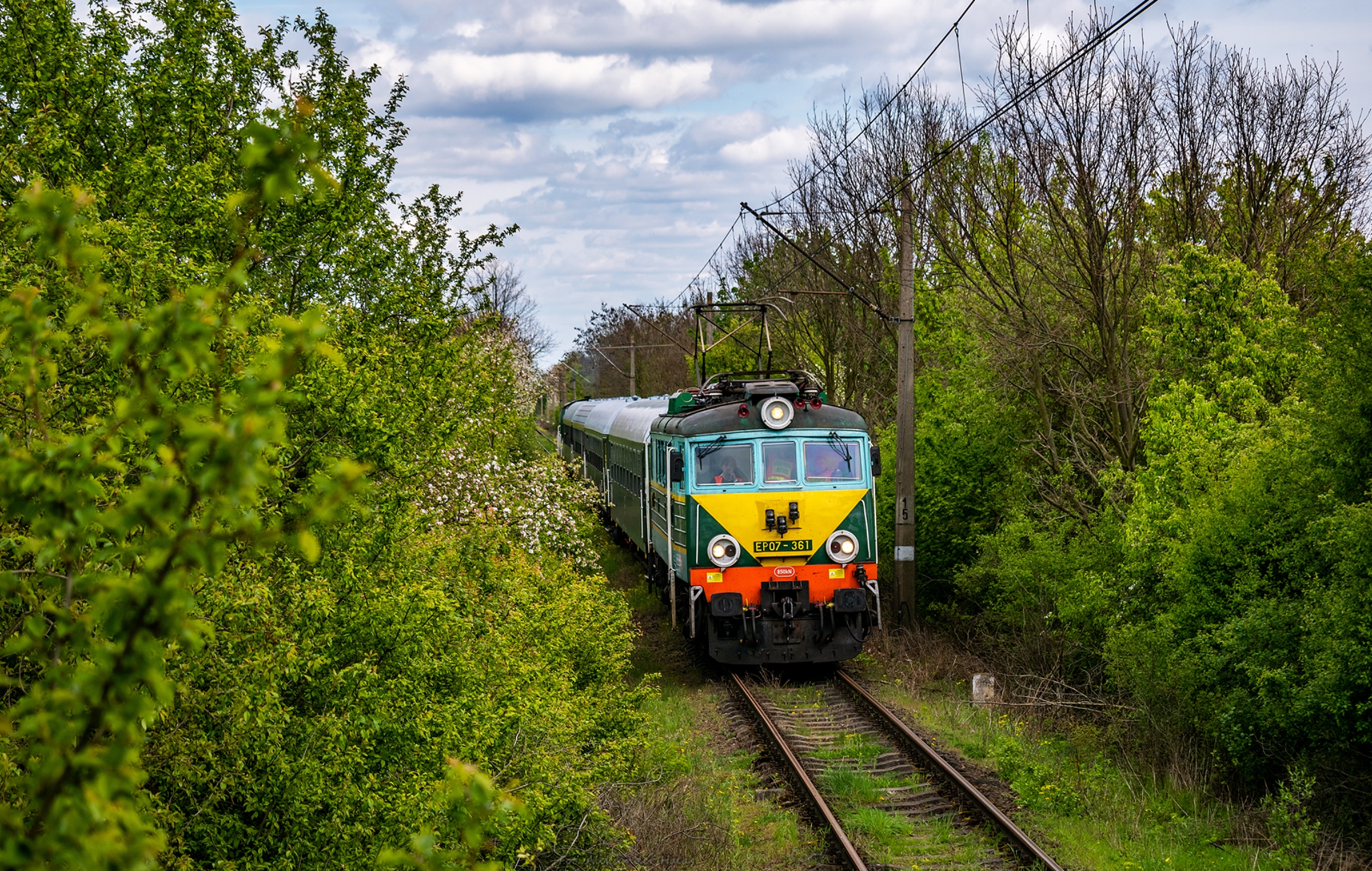 Aleksander w Aleksandrowie.