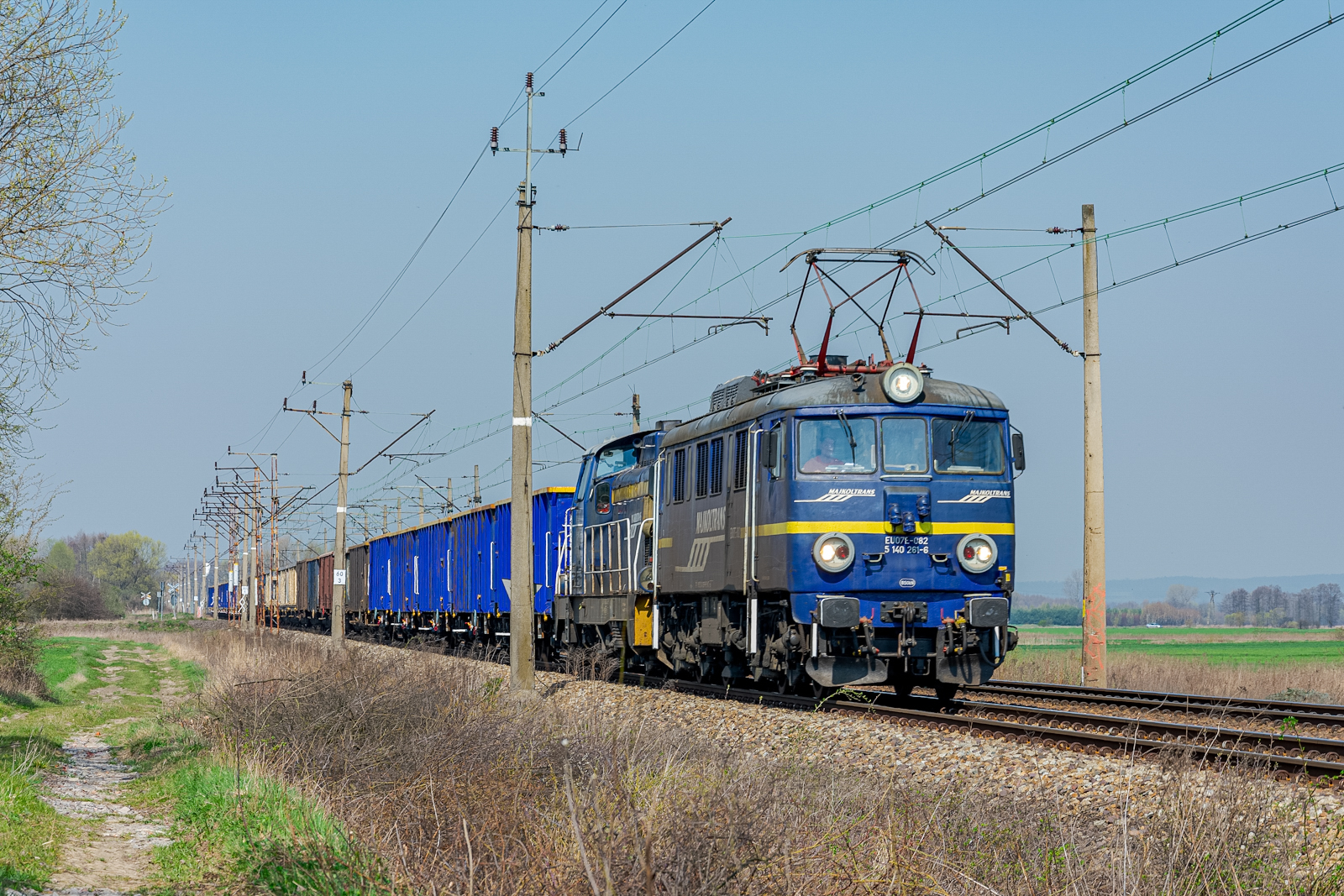 Popołudniowy Majkol