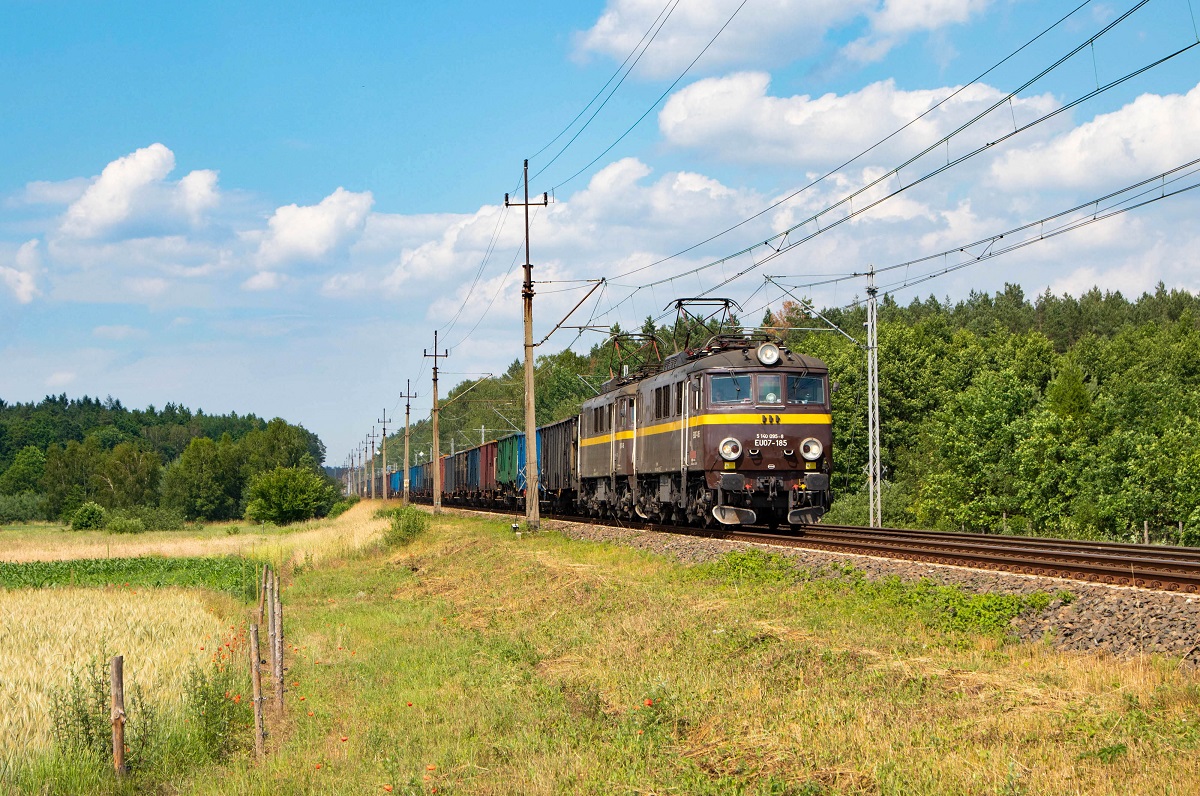 Czekolady w Lisim Polu