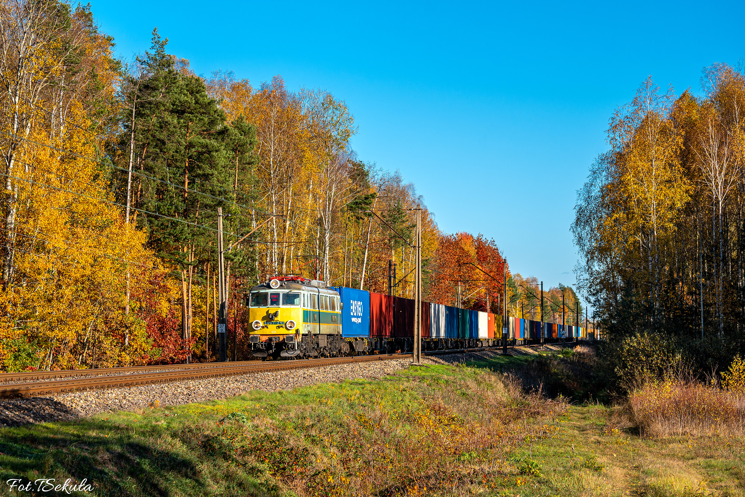 Złota polska jesień