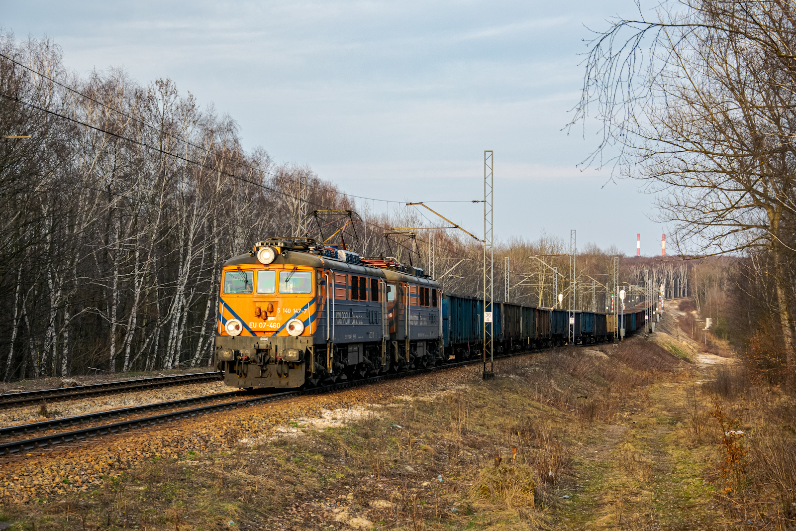 Wąż na szkodach górniczych