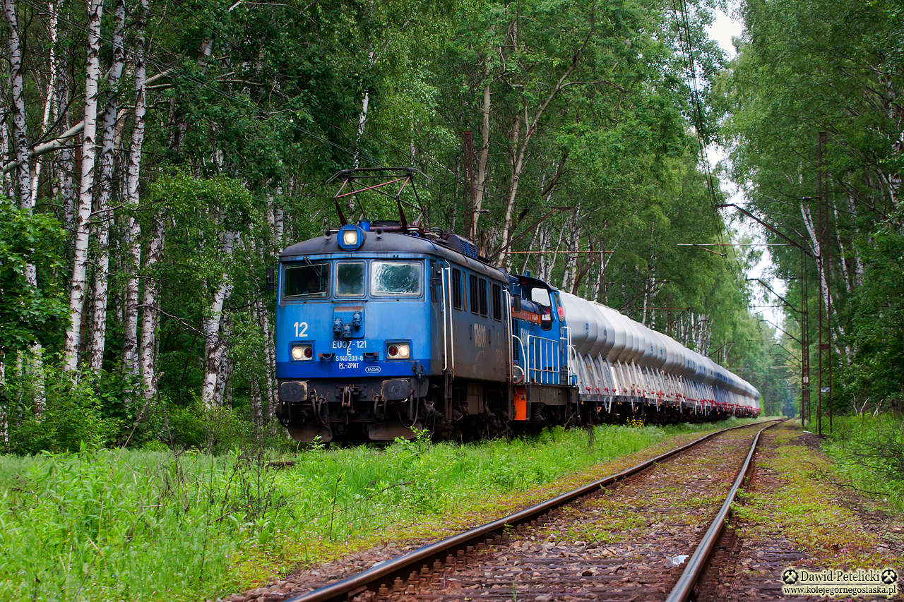 Sosnowiecka dżungla