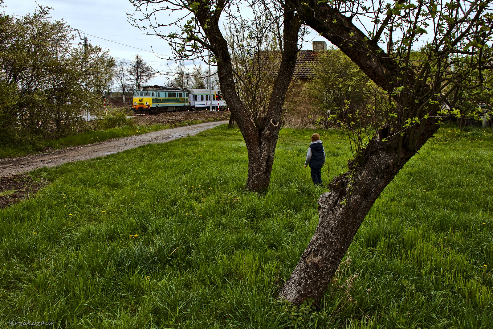 Na podeszczowym wypadzie