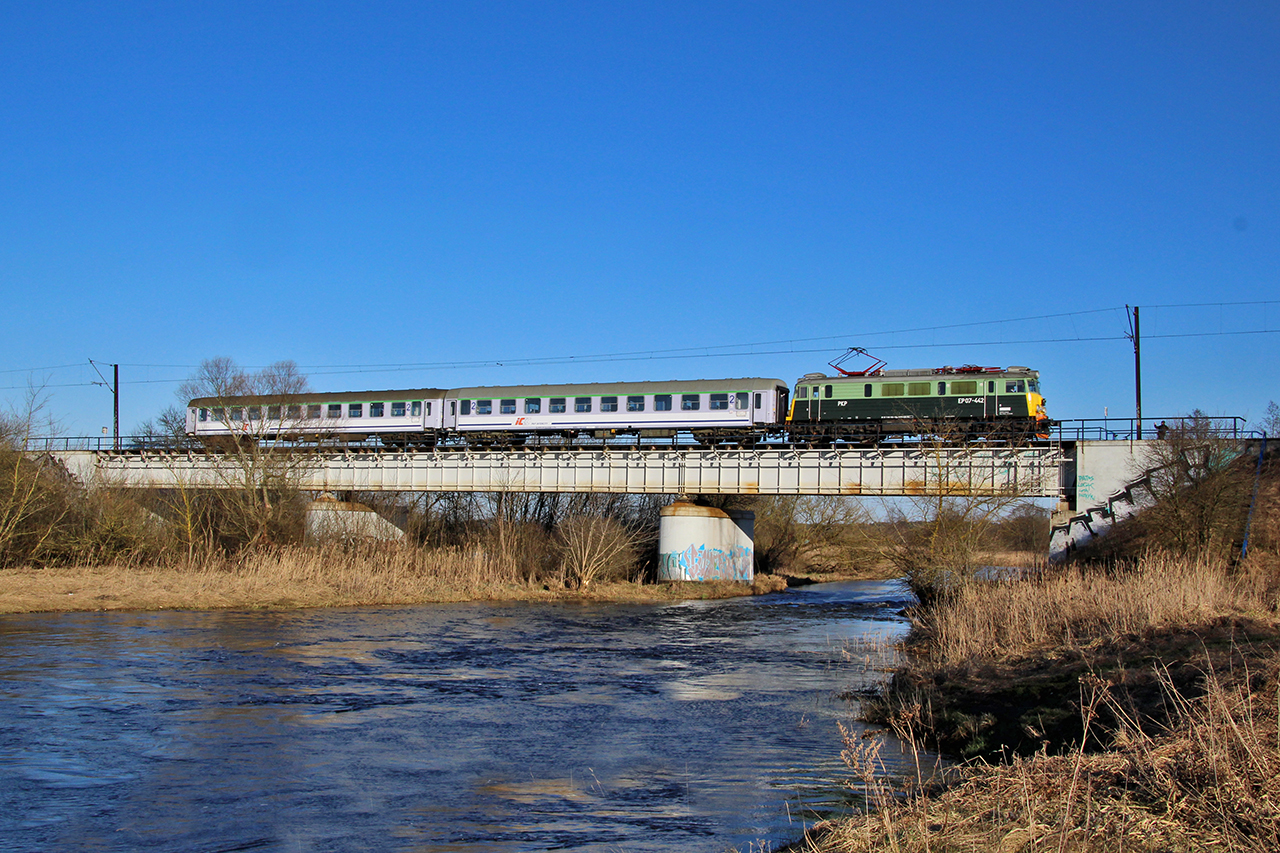 Zółte czoło z Hańczą