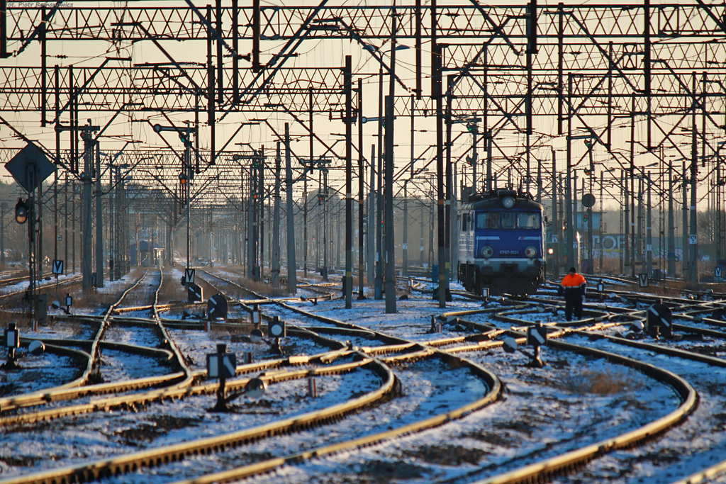 Zabłąkana siódemka