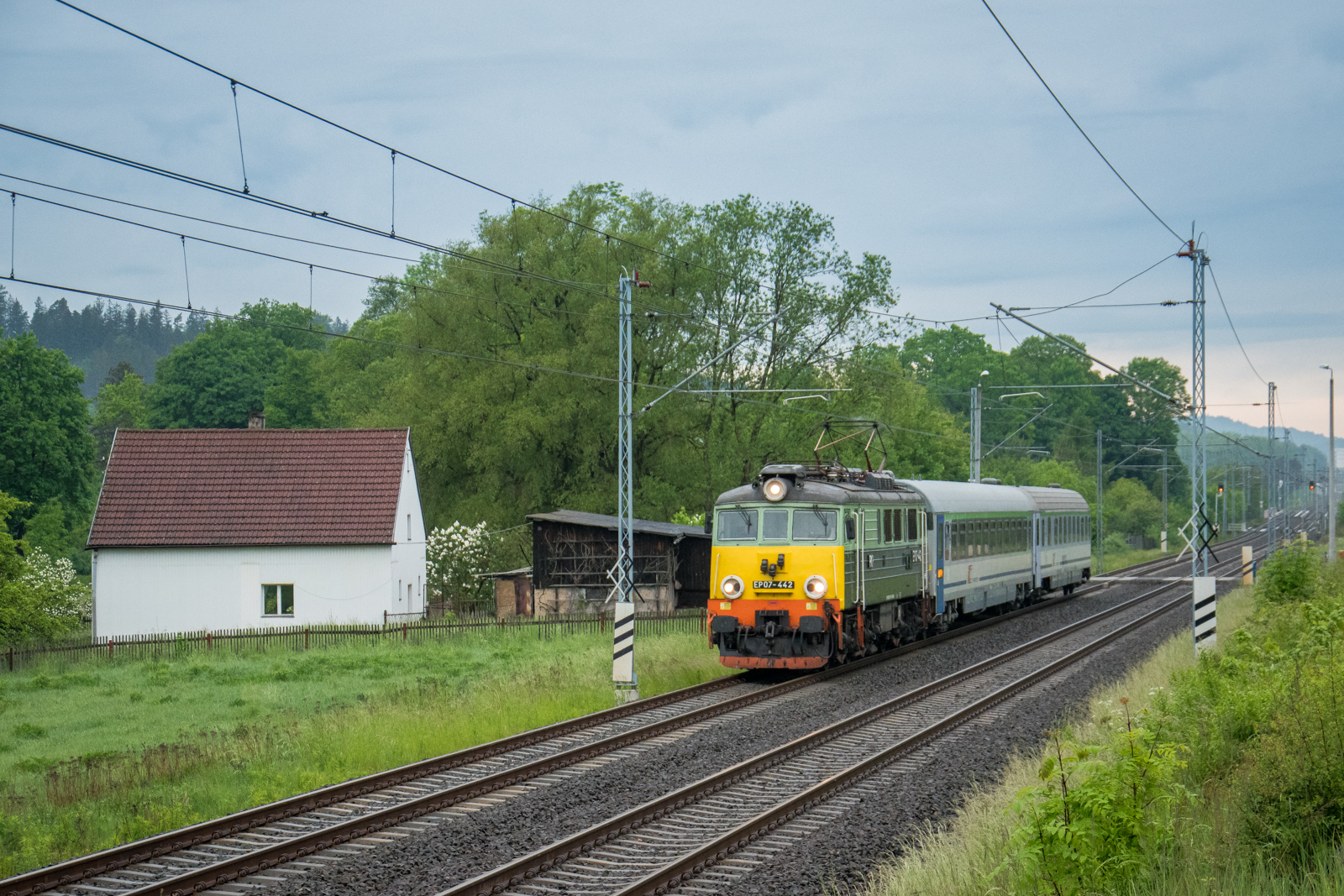 Pochmurny poranek z żółtym czołem