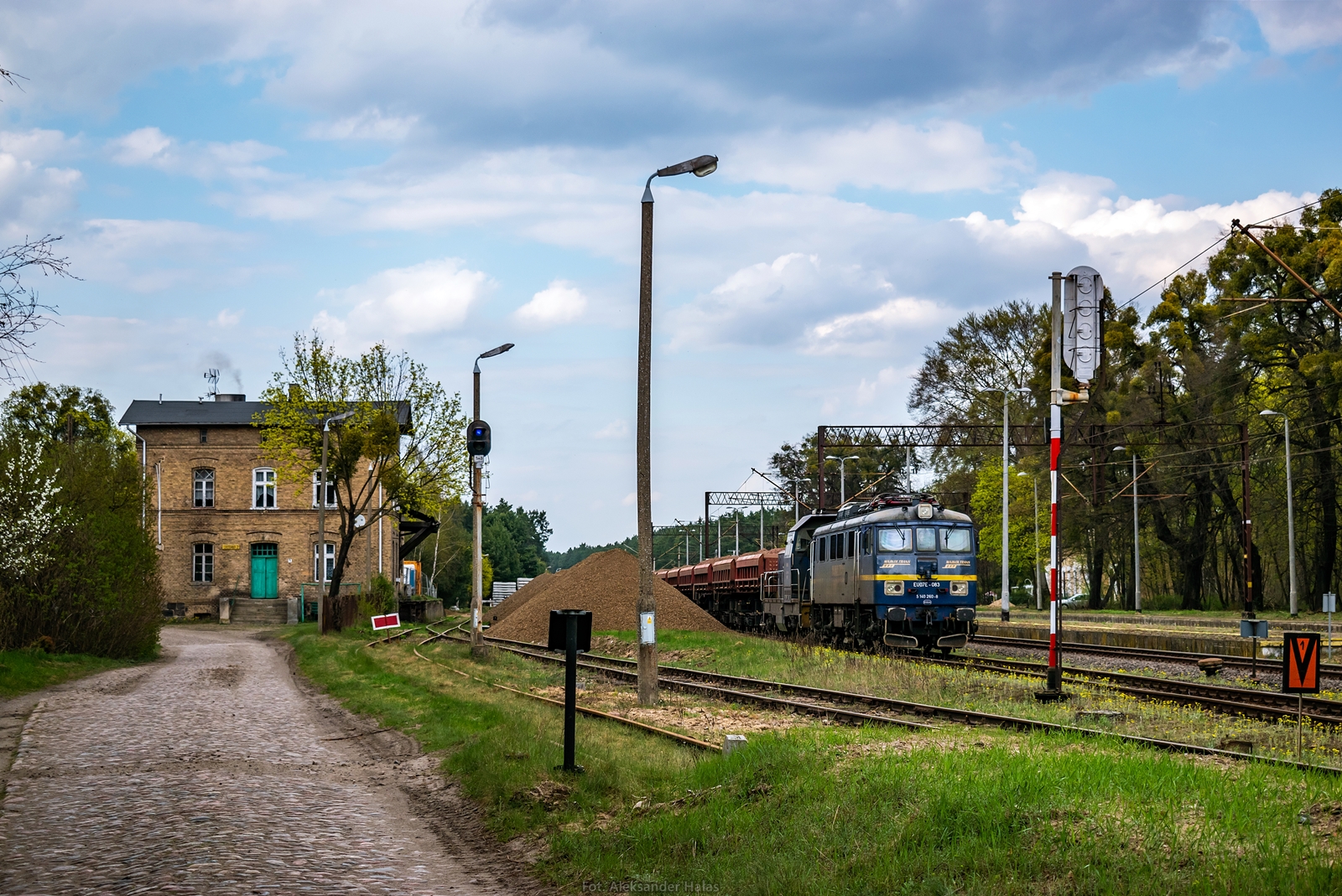 Wśród leśnej ciszy.