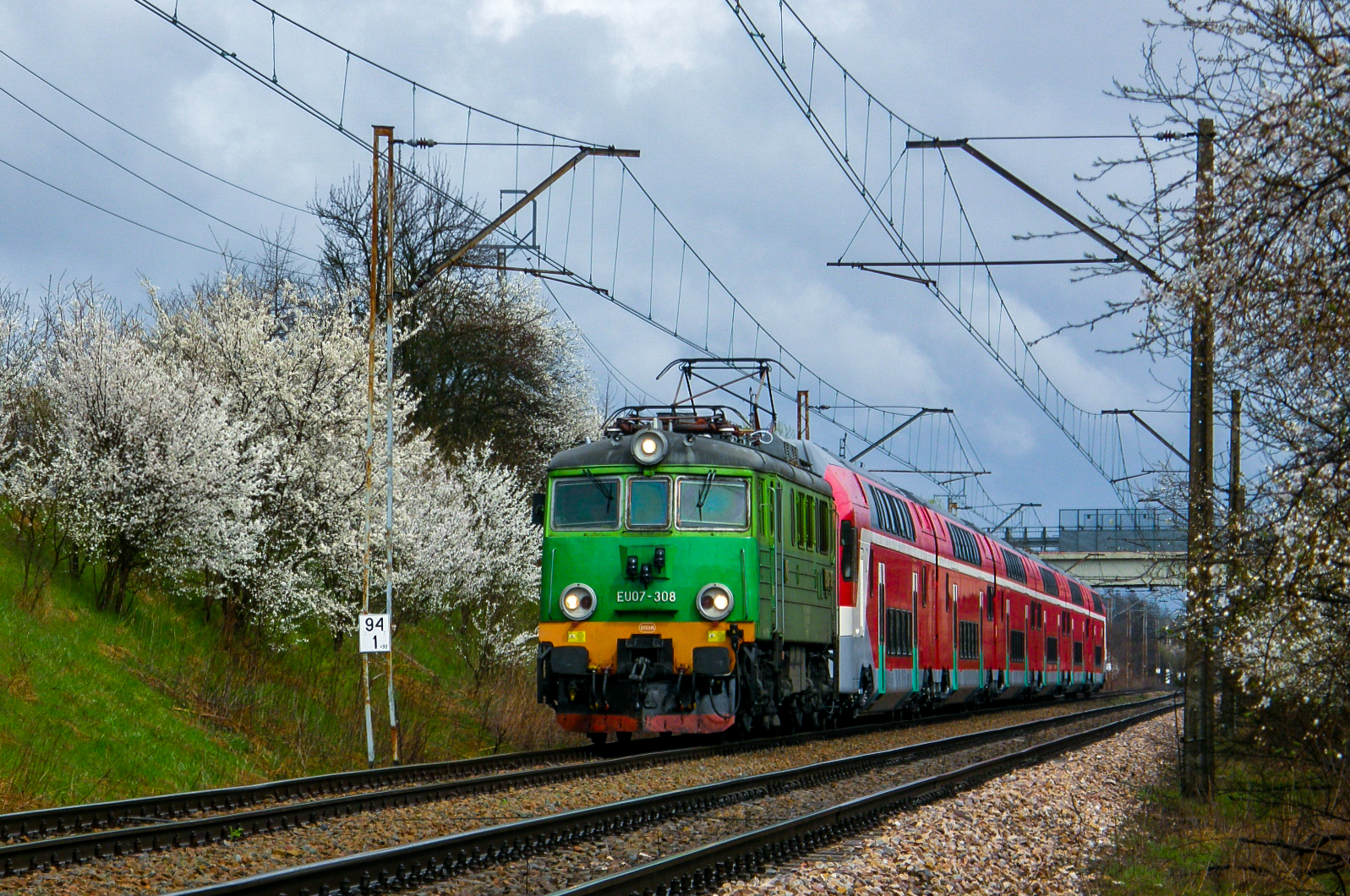 Zielona Siódemka z Kissem