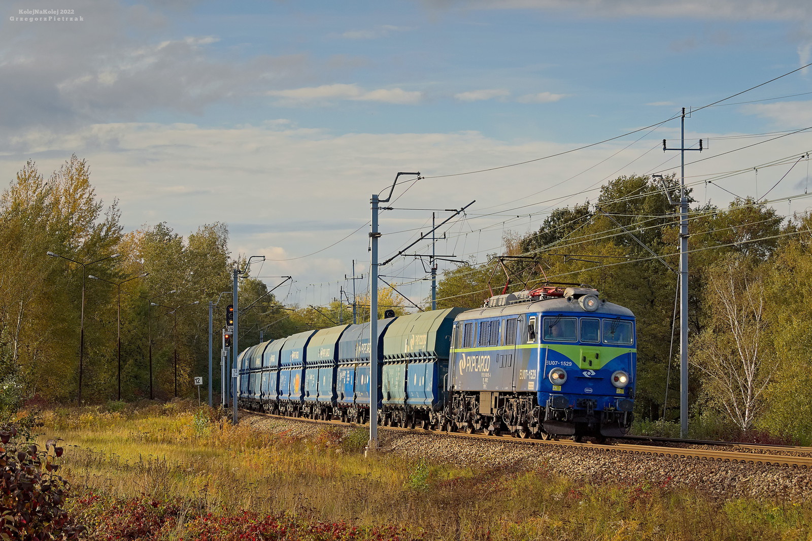 Siódemka z talbotami