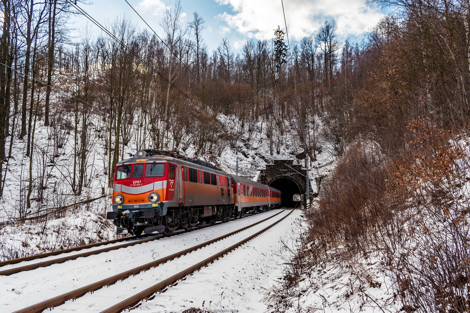 Kamieńczyk w Trzcińsku.