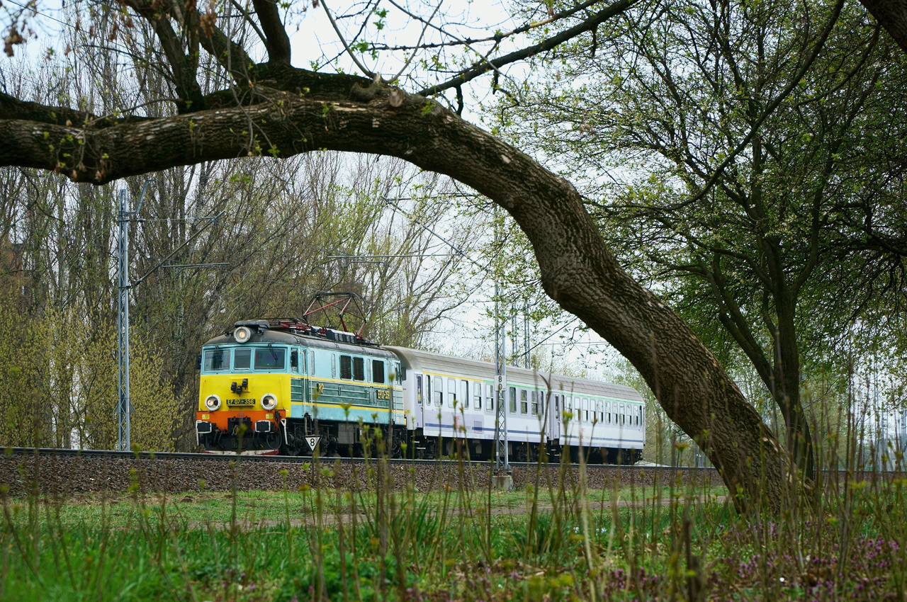 Pisanka w lany poniedziałek