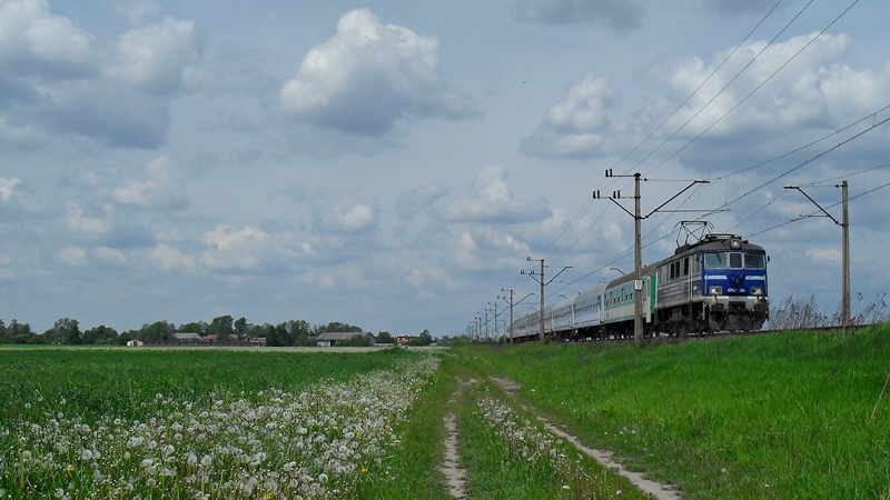 latawce, dmuchawce, wiatr