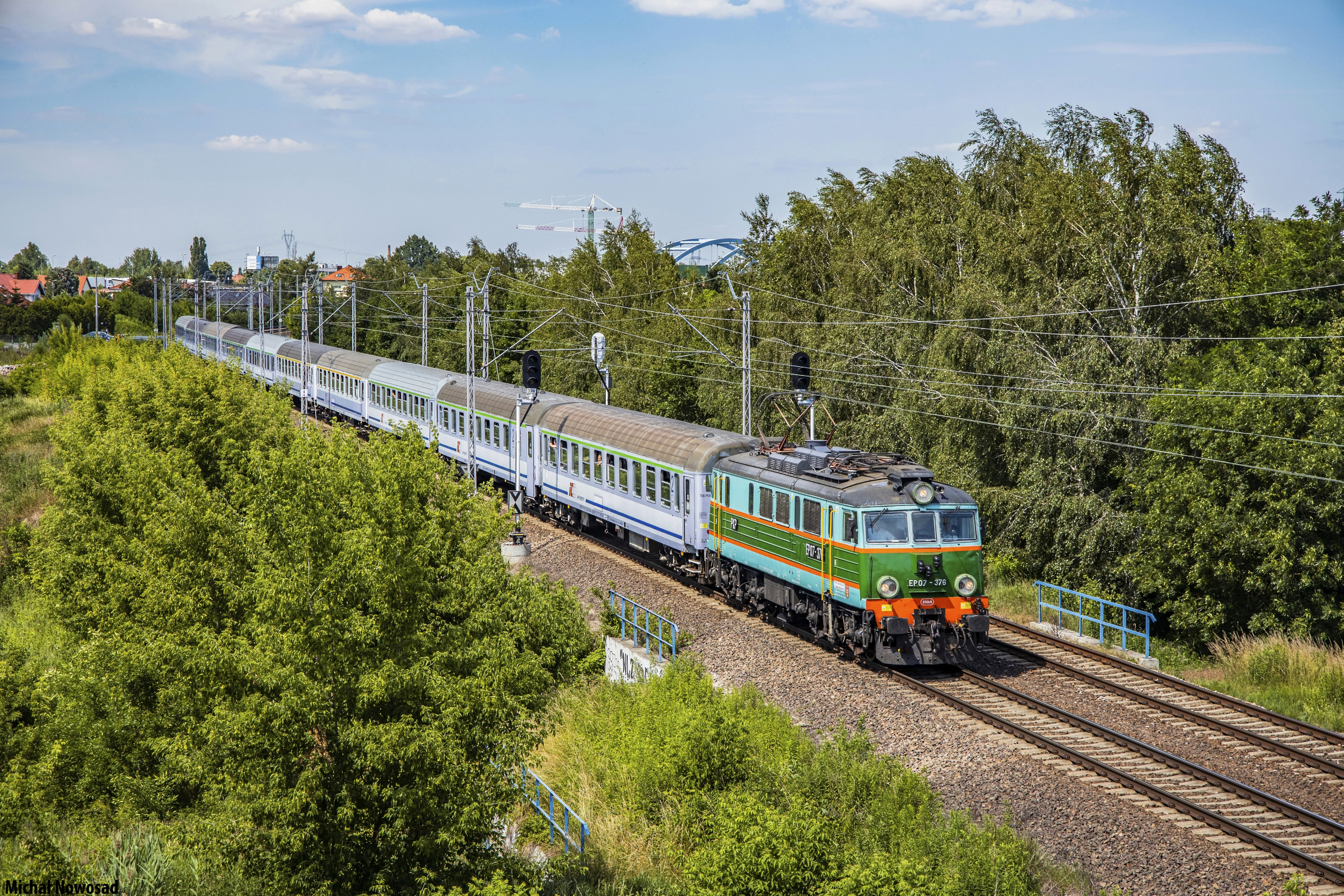 Zielenina z Lubomirskim