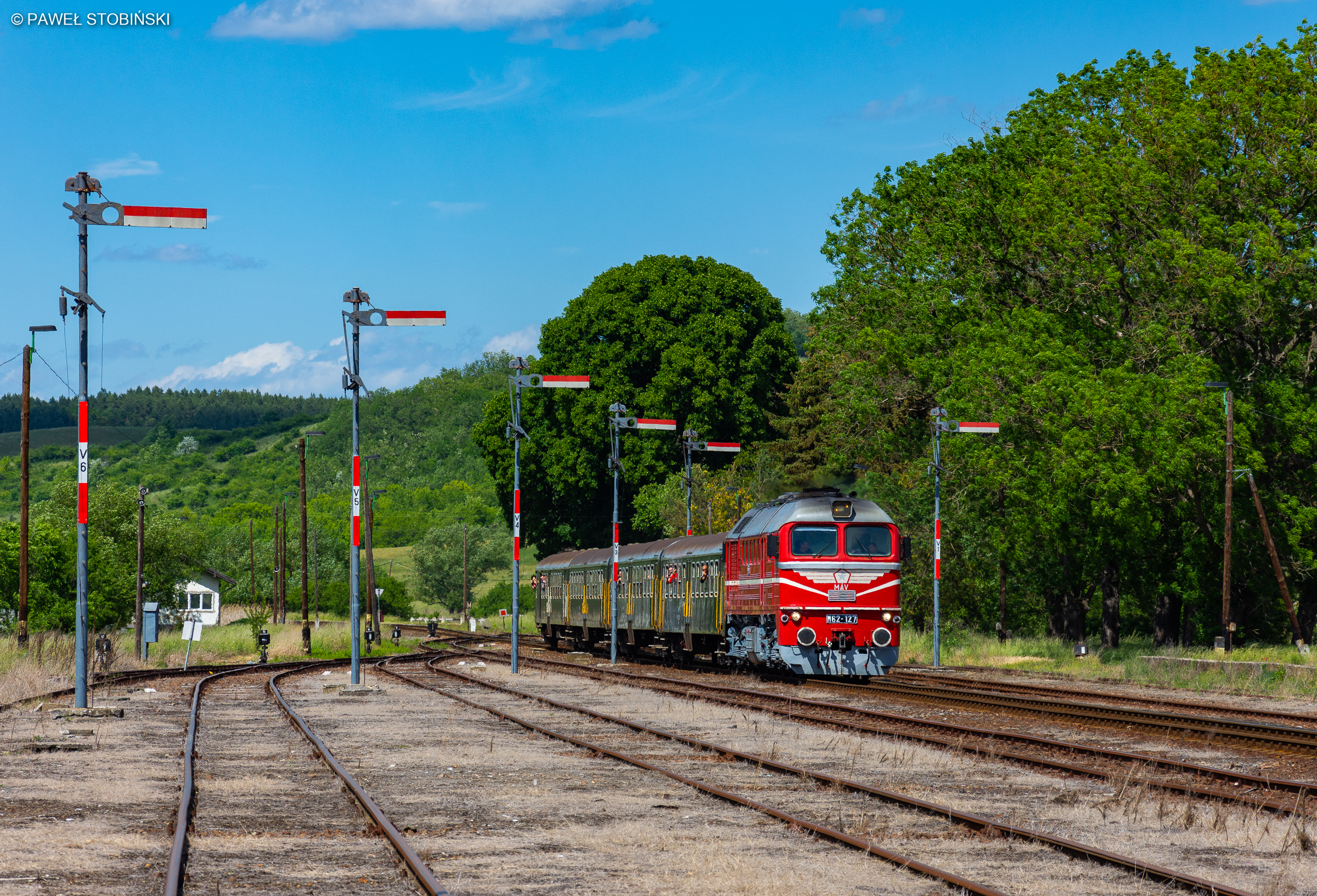 Kształtów pod dostatkiem