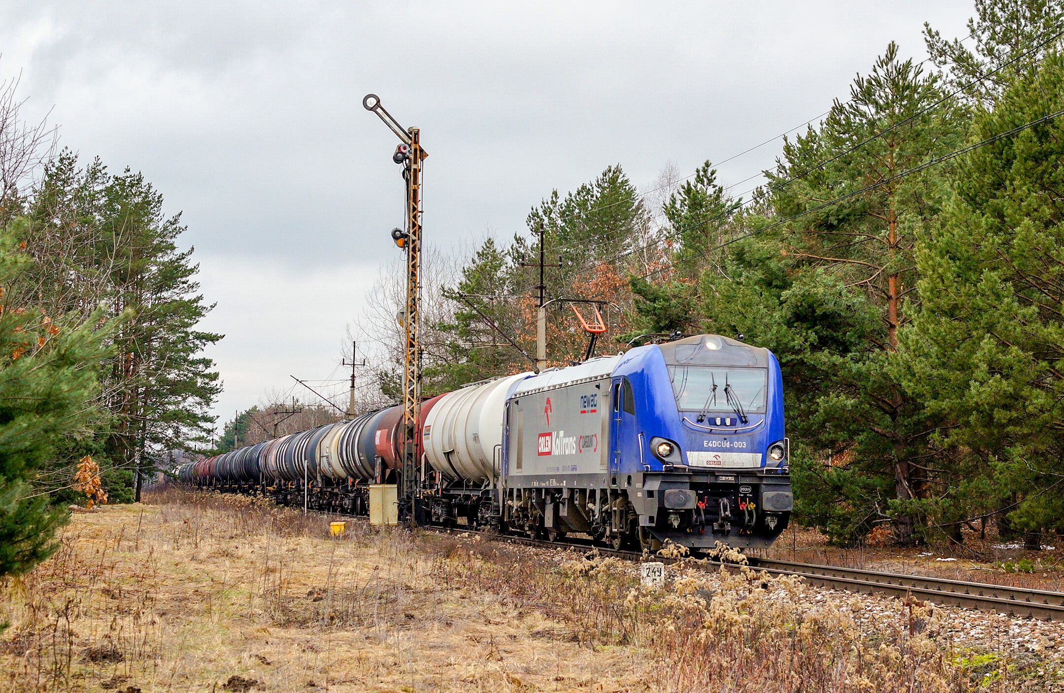 Kształtowe déjà vu