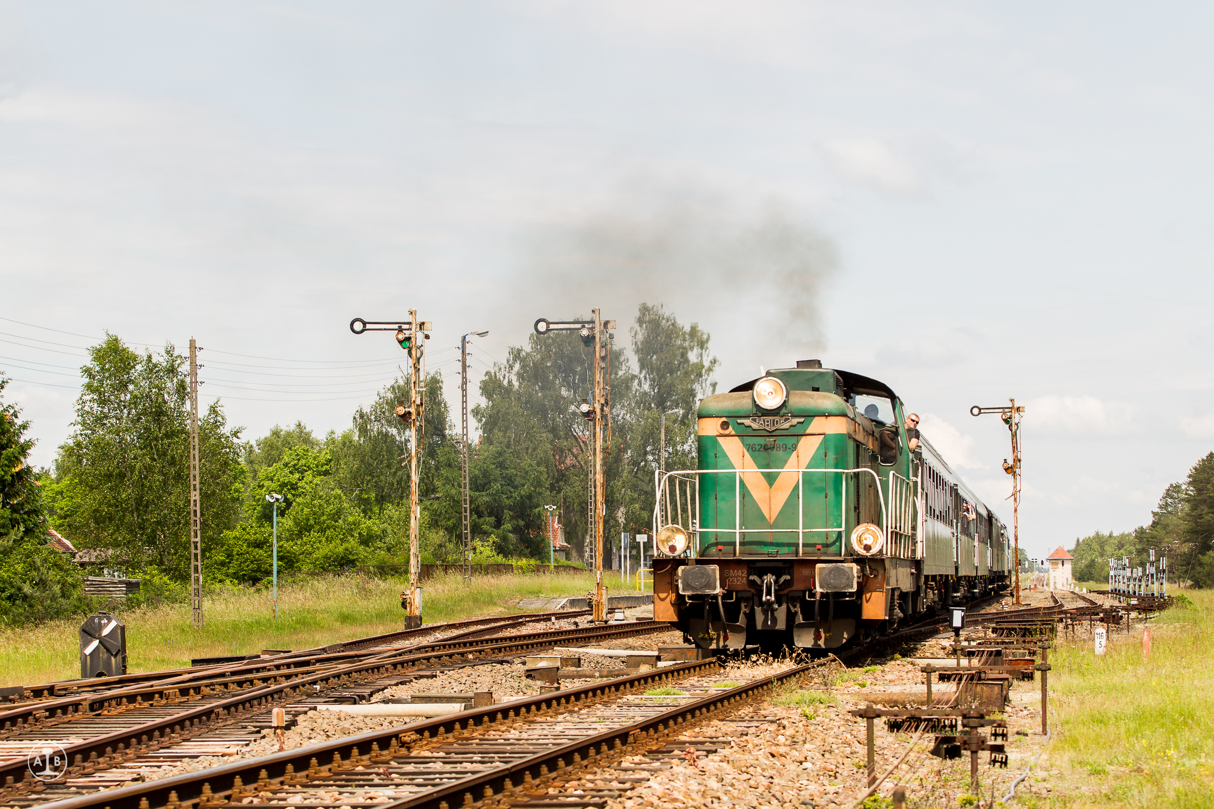 Niedźwiadek wśród semaforów kształtowych