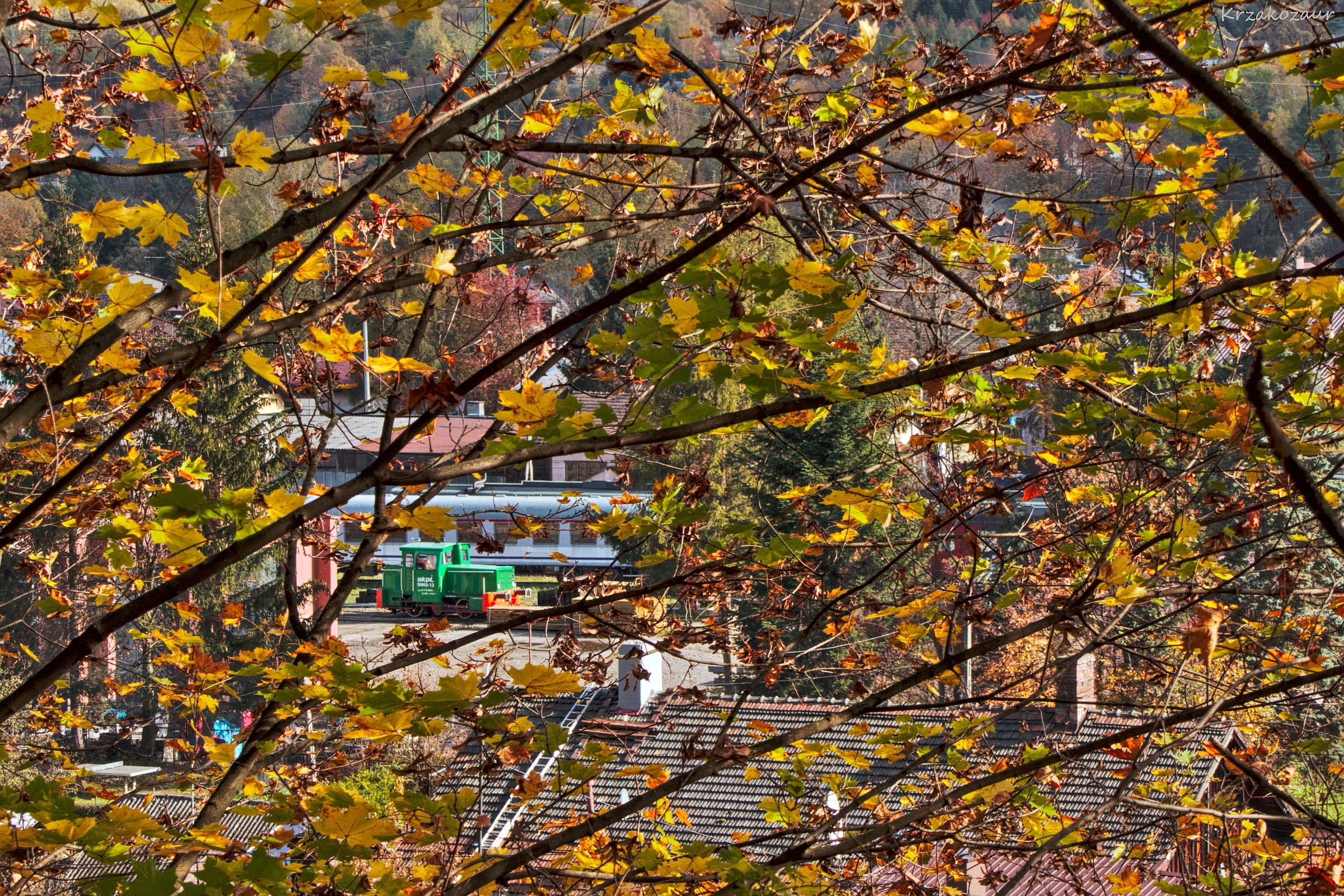 Z dołu nie pozwolili