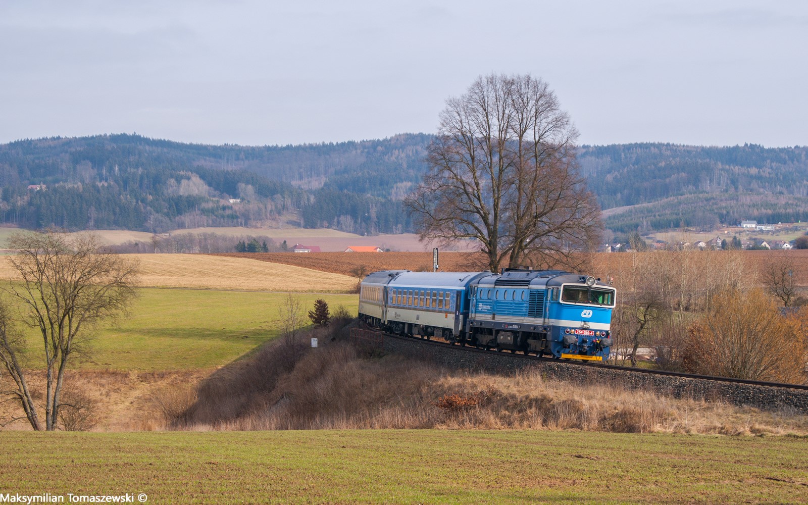 Brejlovec na ostatnim łuku