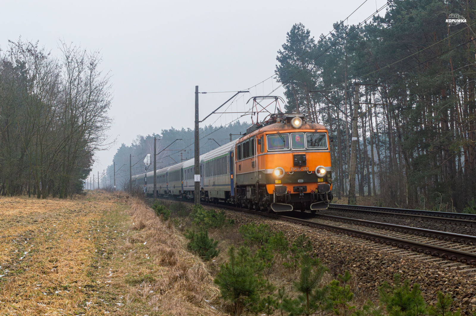 Kolorowy pociąg w niekolorowy dzień