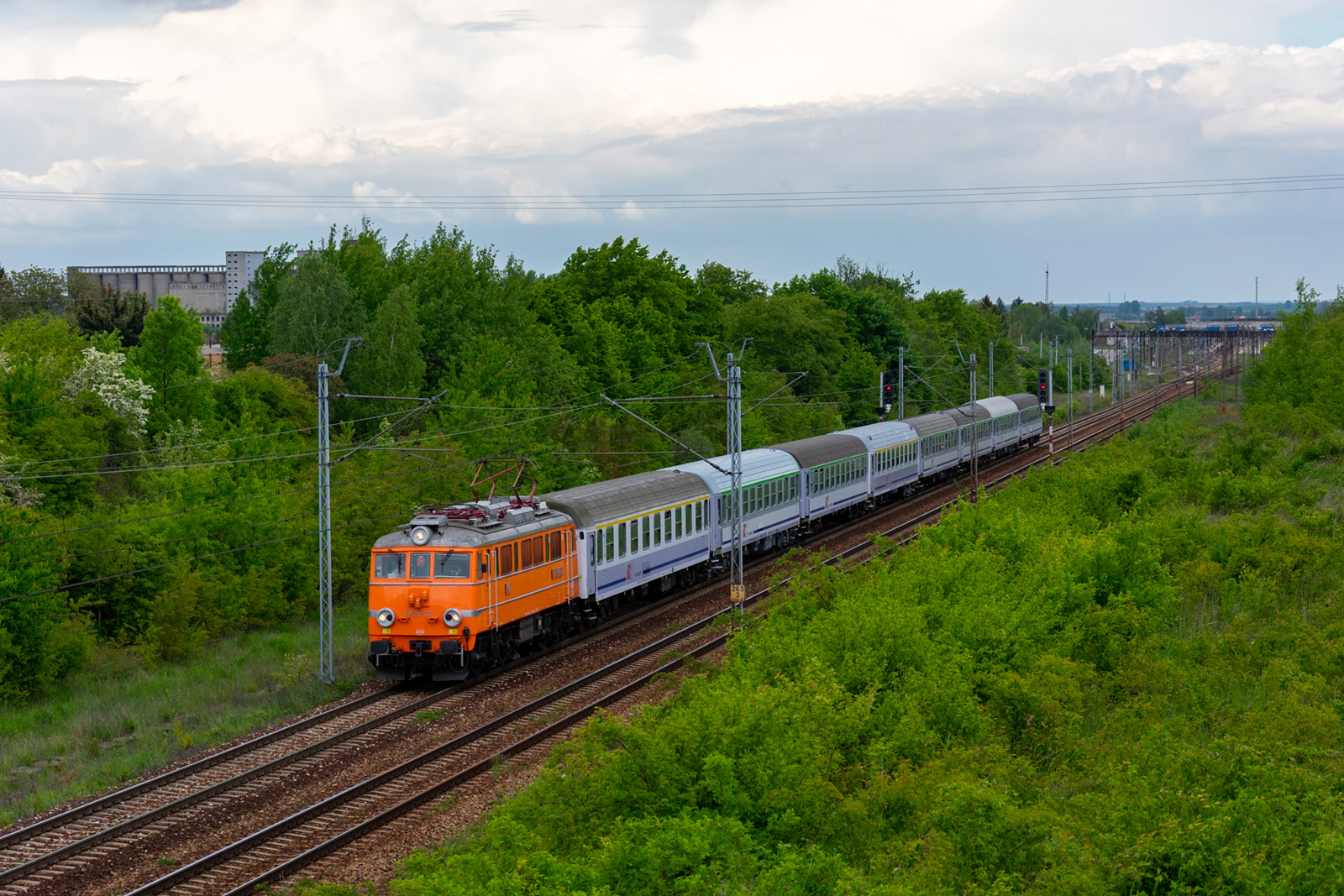 Świnka z Lubomirskim