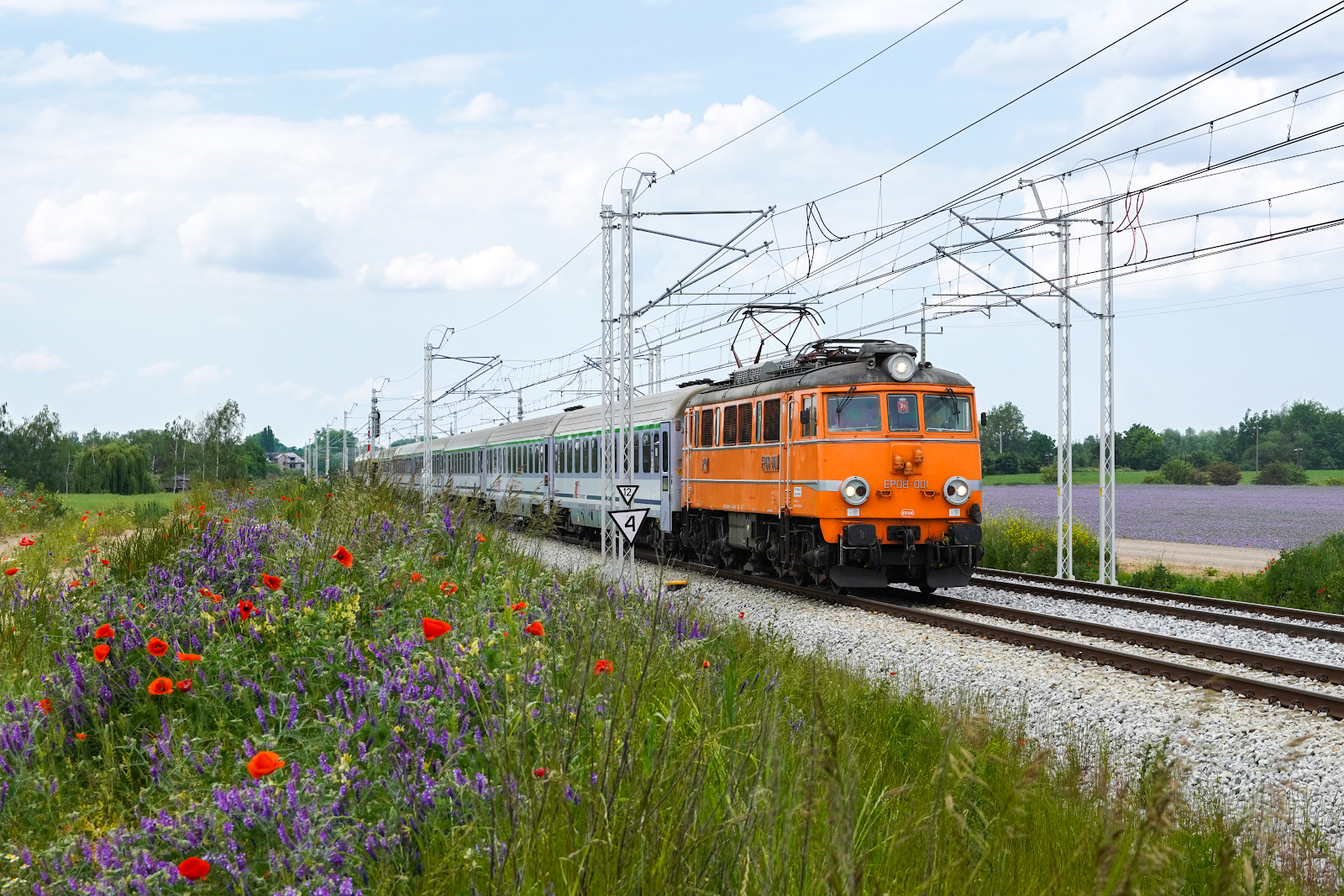 Świnka z Barbakanem