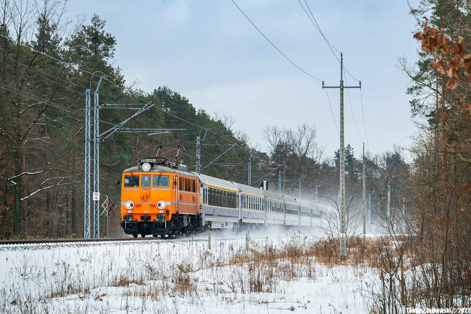 Świnka z Dąbrowską
