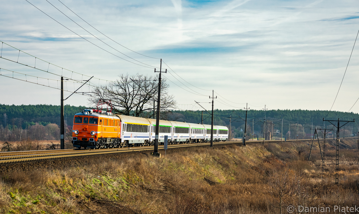 Świnia z Gałczyńskim