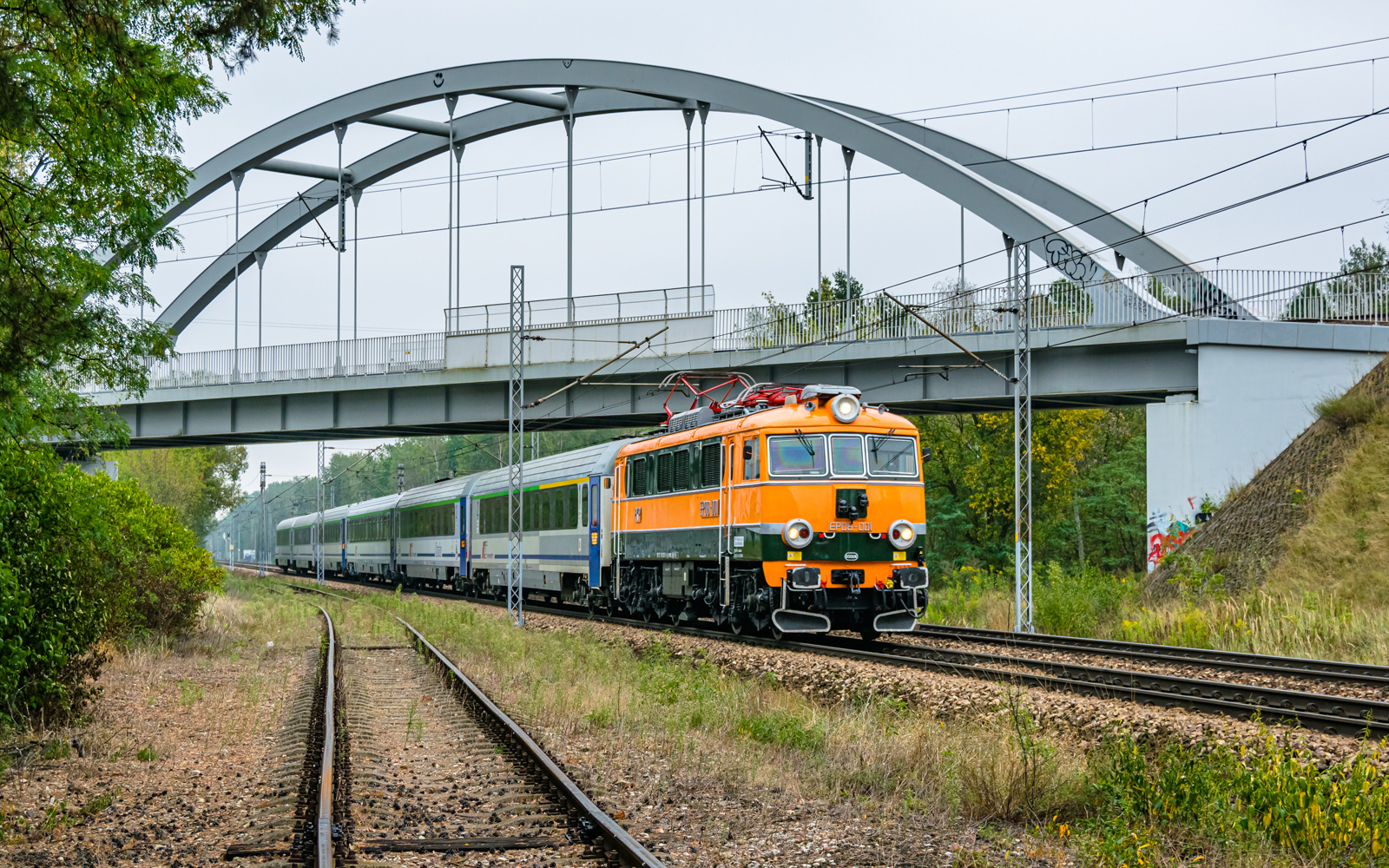 Świnka w Rembertowie